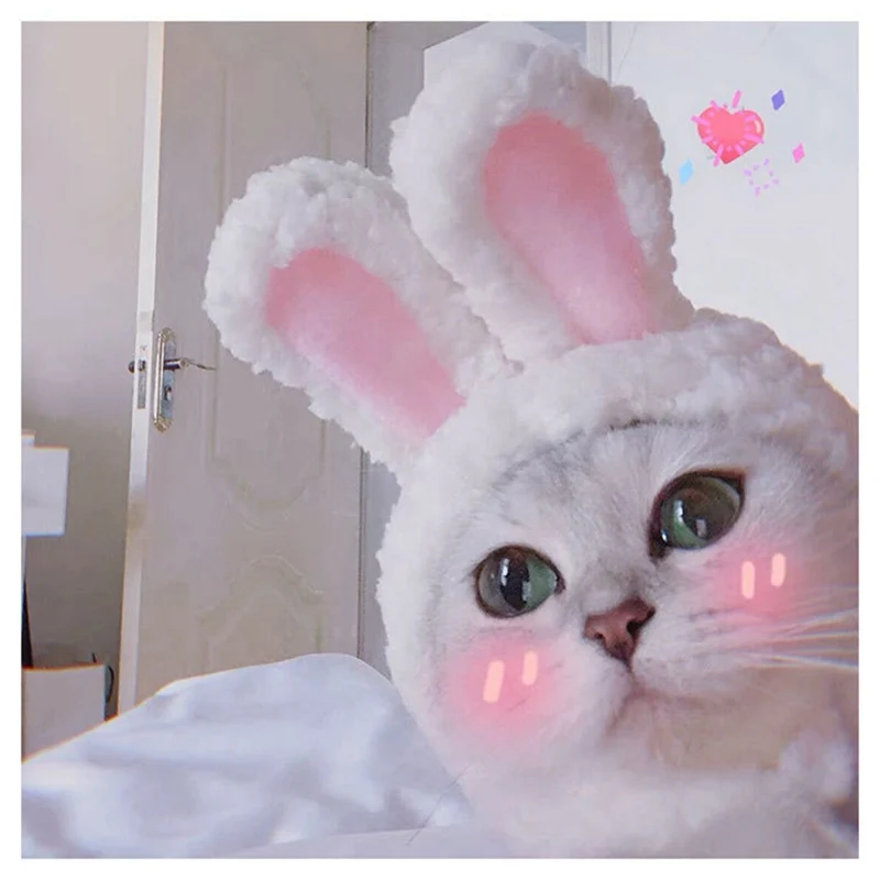 Забавные мультяшные костюмы для собак и кошек, белый кролик с ушами, шапка в форме собаки, котенка, повязка на глаза для косплея, головные уборы