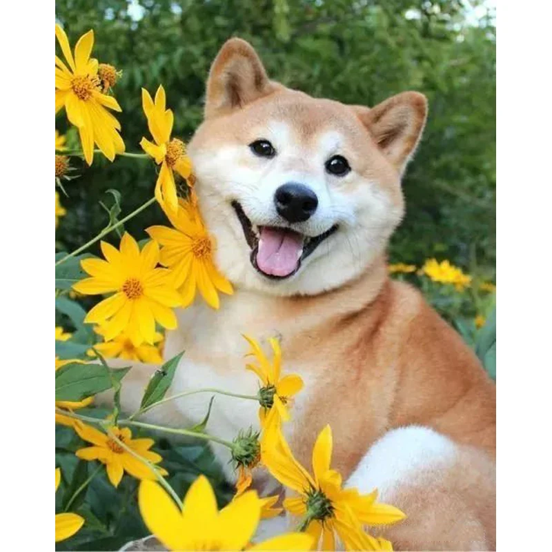 Алмазная 5d Вышивка с вышивкой корги Уэльса сделай сам алмазная живопись вышивка