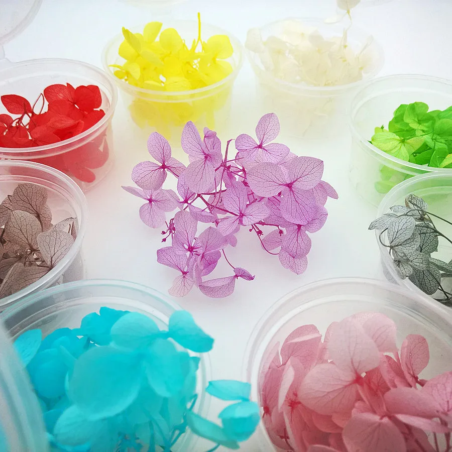 one box 20pieces petal Natural small leaf Hydrangea Dried flowers glass globe filler DIY jewelry making findings | Украшения и