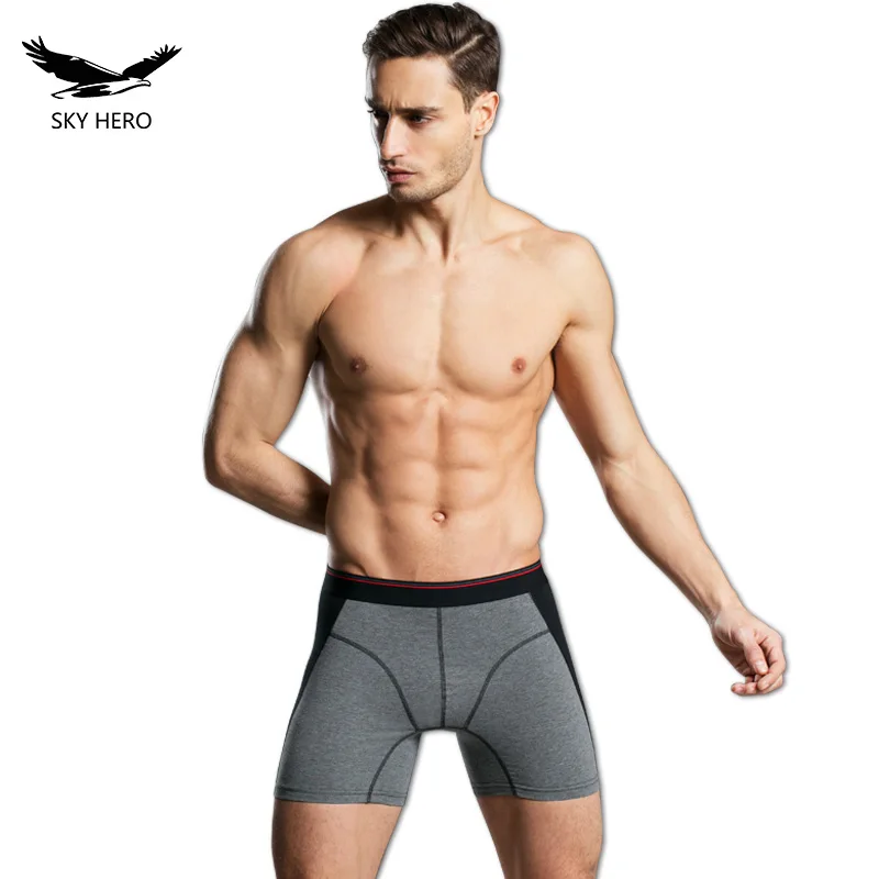 2019 хлопок длинные ноги Для мужчин s боксеры нижнее белье трусы Pour Homme шорты