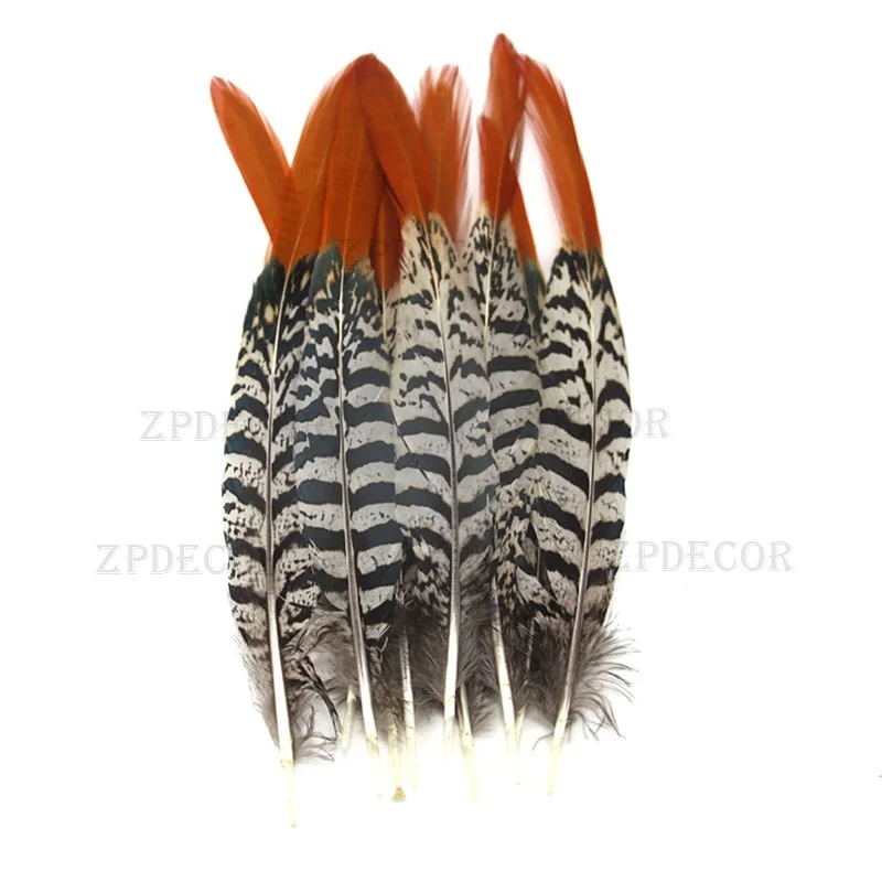 

Zpdecor новый 20-25 см/8-10 дюймов высокого качества Натуральное перо фазана ремесла DIY сумки украшения для одежды