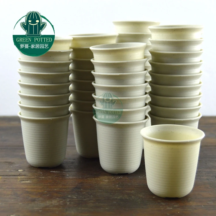 

Vientiane matte pot plastic flower pots succulents 50/bag