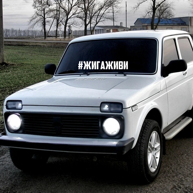 

CS-917#4*25cm 9.7*60cm # zhigazhivi funny car sticker vinyl decal silver/black for auto car stickers styling car decoration