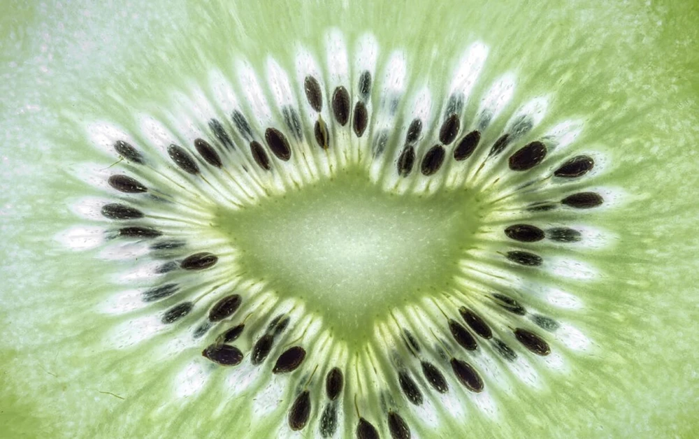 Фотообои Kiwi с изображением еды крупным планом фоновая фотография для гостиной