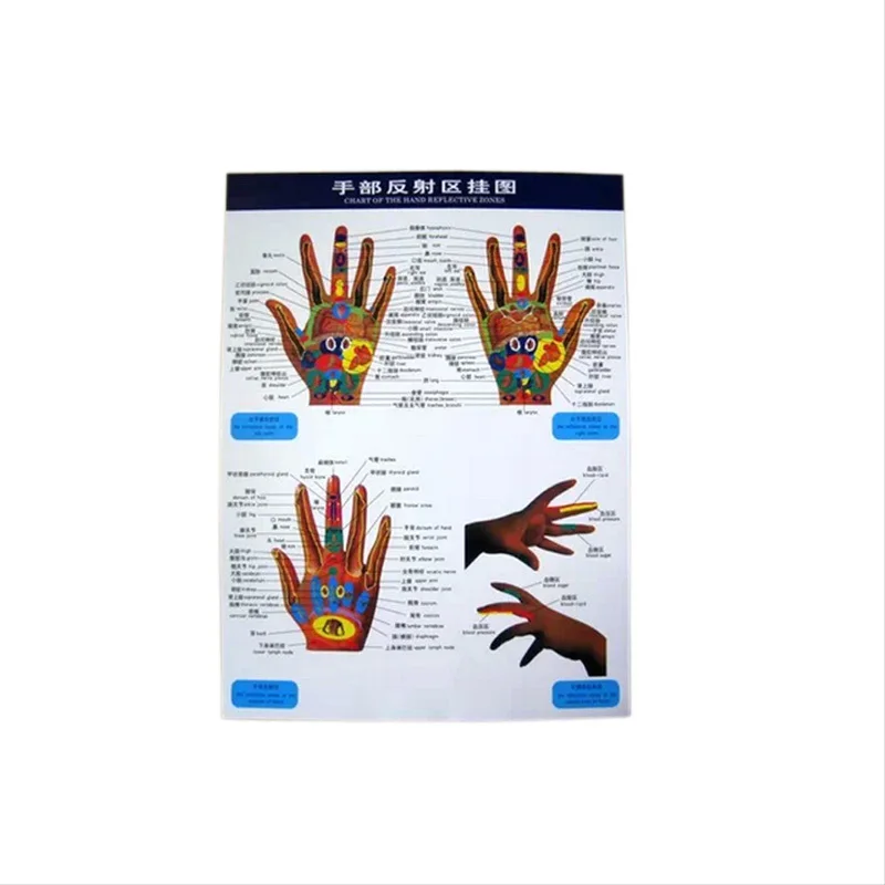 Графики рефлекторные зоны рук ног Уход за кожей лица ухо-акупунктурных точек
