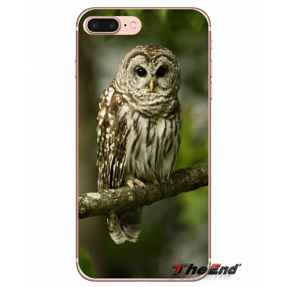 Для samsung Galaxy S2 S3 S4 S5 MINI S6 S7 edge S8 Plus Note 2 3 4 5 большое ядро Prime животные птицы сова