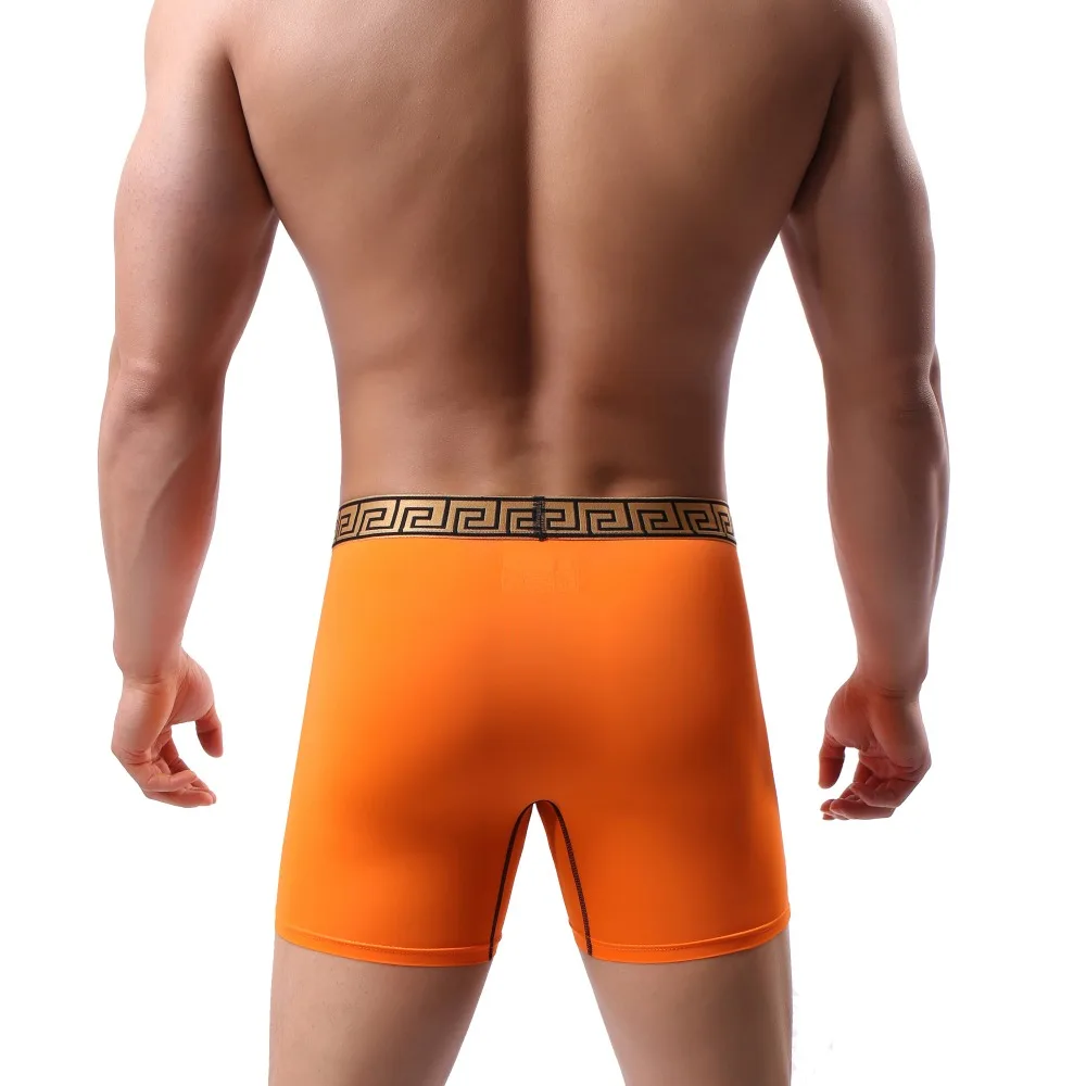 Высокое качество MENSSEXI новые длинные трусы нижнее белье нейлон Hombre фитнес мужские спортивные трусы шорты длинные