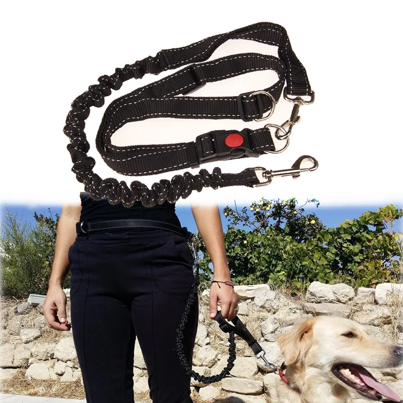 

Нейлоновый Поводок для собак, эластичная Светоотражающая шлейка для дрессировки домашних животных, для ходьбы и бега