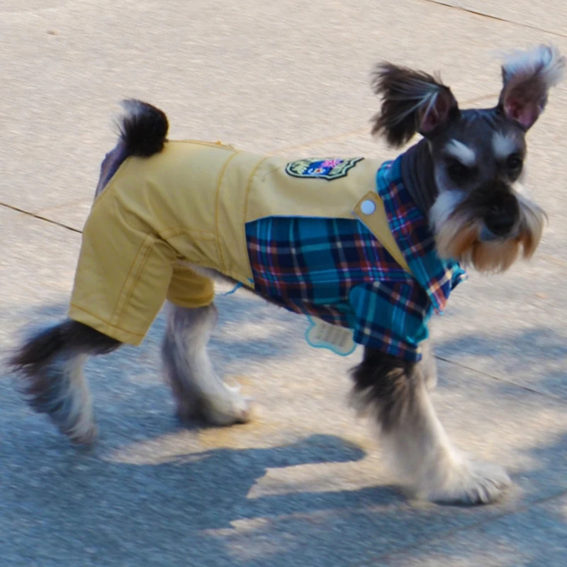 Новый бренд! Комбинезон для домашнего животного. Джинсовый комбинезон из 100%