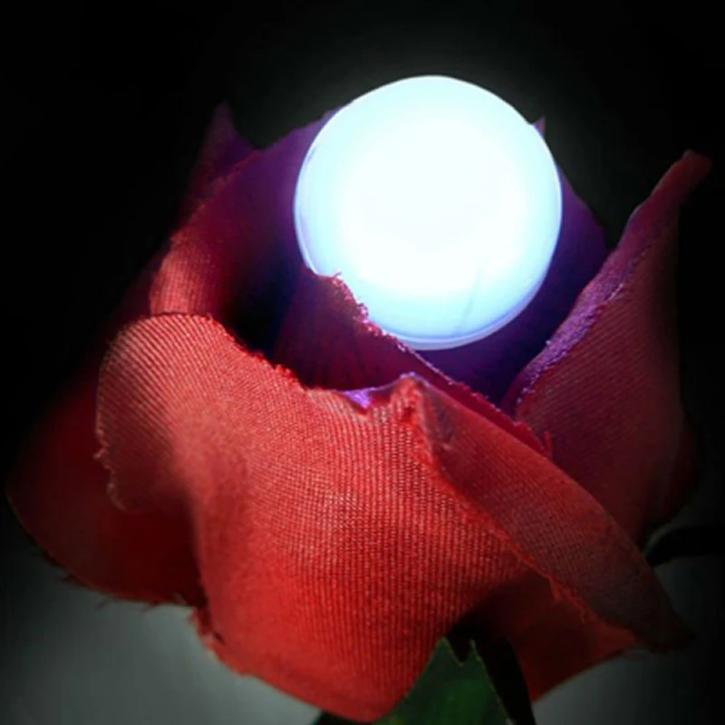 Светодиодные водонепроницаемые шариковые лампы с жемчугом 12 шт./лот|lamp for|battery