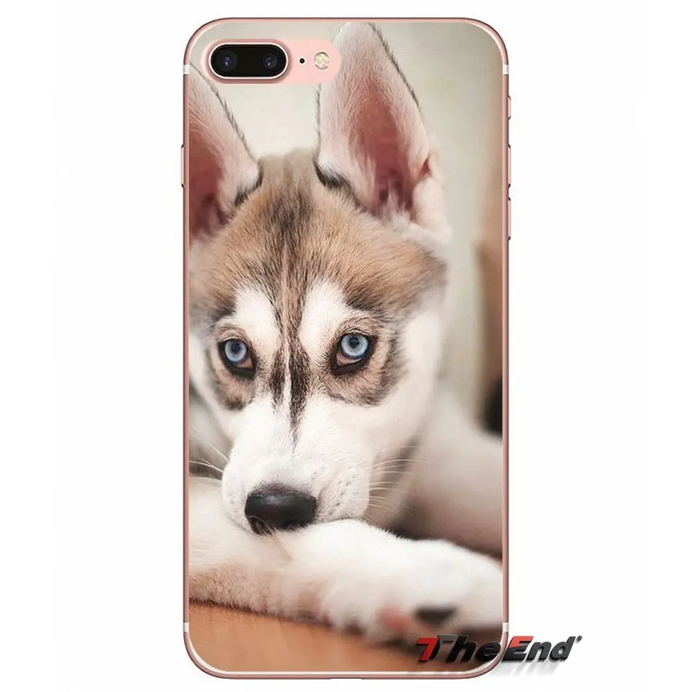 Для Apple iPhone X 4 4S 5 5S SE 5C 6 6S 7 8 Plus 6Plus 7plus 8plus Fundas Coque Siberian Husky Dog puppies Силиконовый ТПУ