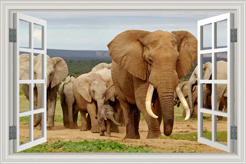 Window Frame Wall Decal Elephant African Bush Safari 3D View Vinyl Sticker Art Mural Peel and Stickers Room Decor | Дом и сад