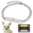 Дрессировочный ошейник для собак, идентификационная метка, змея P, противоскользящая цепочка, металлическая цепочка для мелких и средних питомцев, 22-30 см, черный, золотой, серебристый