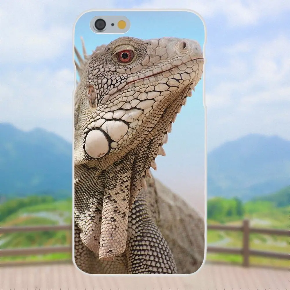 Чехол из ТПУ для Xiaomi Redmi Note 2 3 3S 4 4A 4X5 5A 6 6A Pro Plus чехол Iguana Lizard Animal Бразилия Iguacu