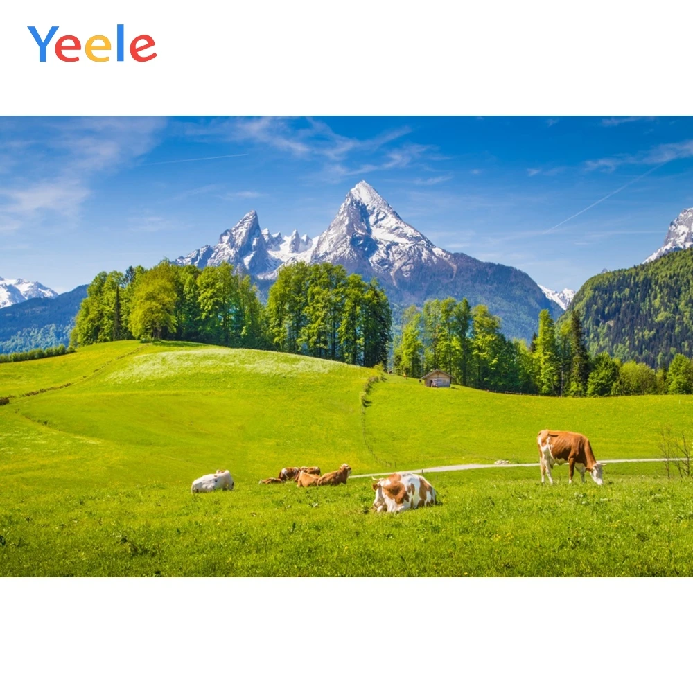 

Yeele пейзаж горные жизненные животные неторопливые фотографии фоны персонализированные фотографические фоны для фотостудии