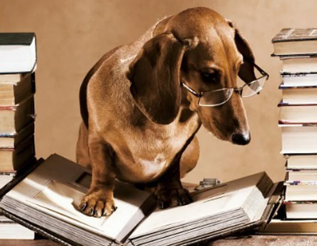 Полный квадратный 5D diy ручной работы Алмазная вышивка живопись изысканным стежка