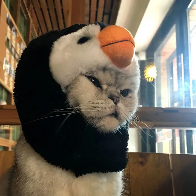 1 шт. Забавный костюм для питомца Hoomall шапка костюмированной вечеринки котенка