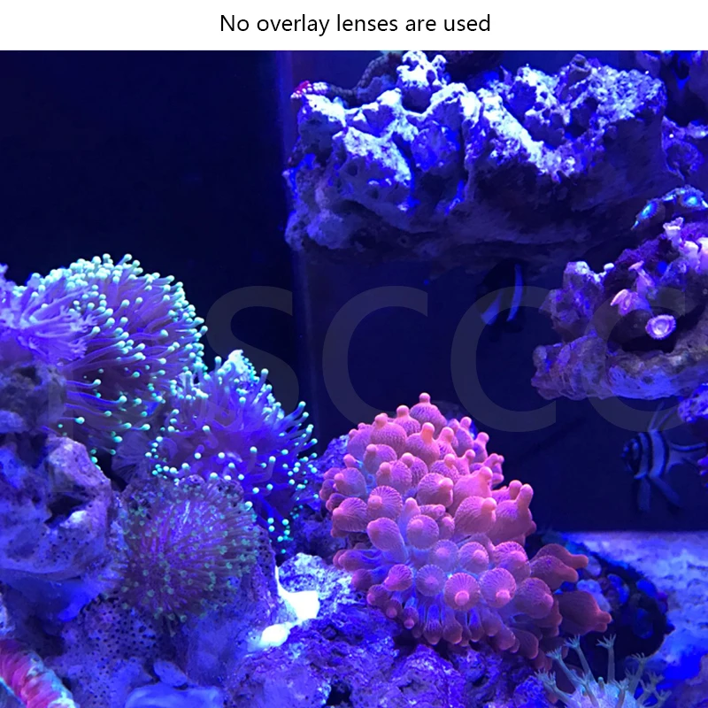 Подводные линзы для фотоаппарата Seawater коралловый аквариумный фильтр для аквариума 3 объектива с микроскопическим зеркалом морской воды Коралловое зеркало