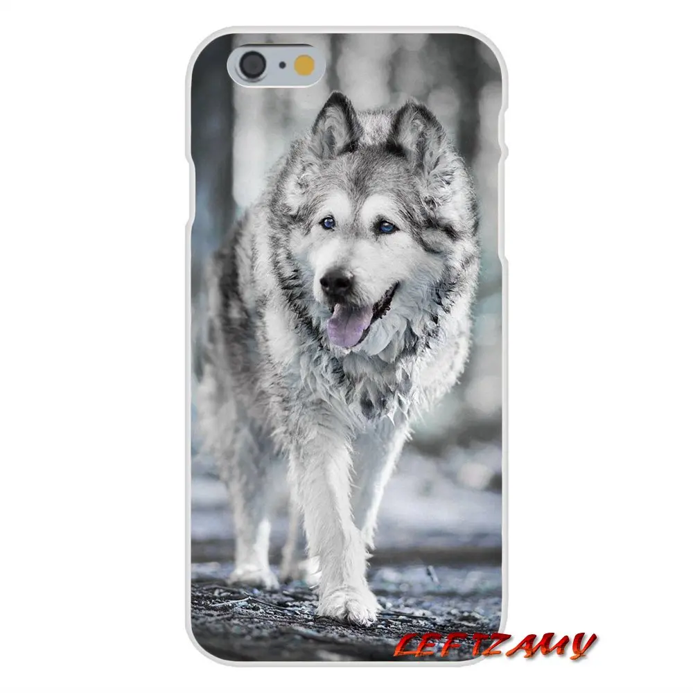 Для iPhone X XR XS MAX 4 4S 5 5S 5C SE 6 6S 7 8 Plus ipod touch Alaskan Malamute Siberian husky аксессуары Чехлы |