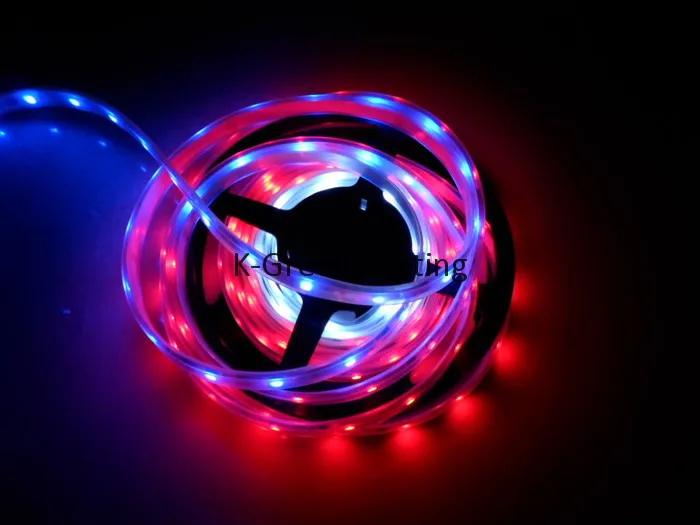 

20mX New arrival addressable LX1203 rgb led strip (one IC broken followings still work) 30led/m 10IC/m express free shipping