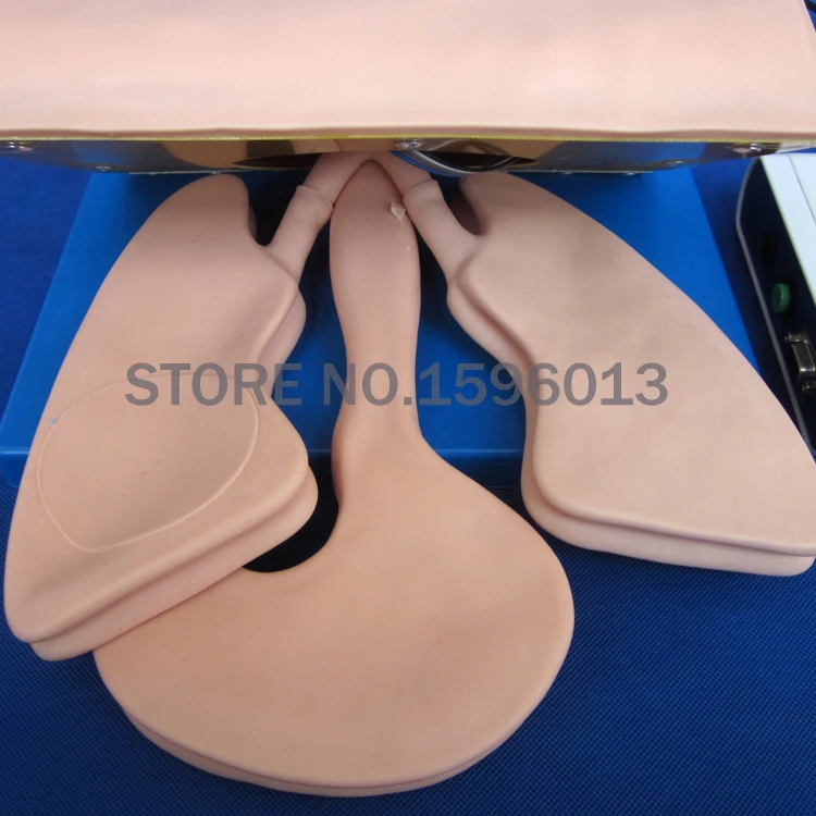 Электронная Учебная модель для взрослых трахеа интубации тренажер с сигнальным