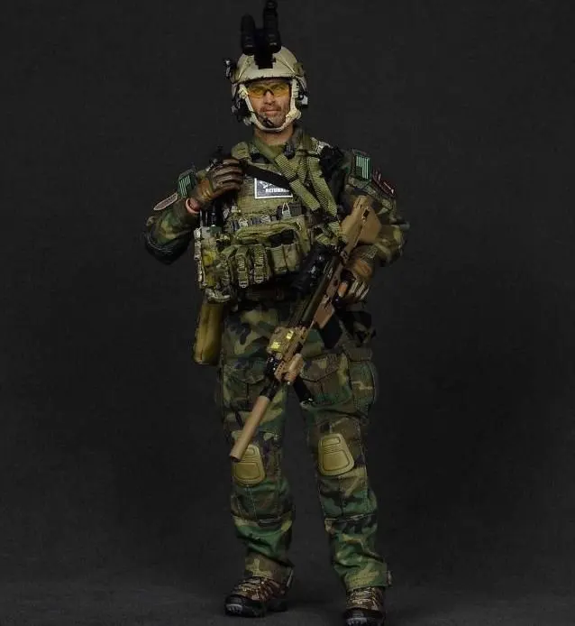 Easy & Simple ES 26011 1/6 армейская фигурка SFG Veteran Aka Dragoo коллекционная экшн 12 дюймов