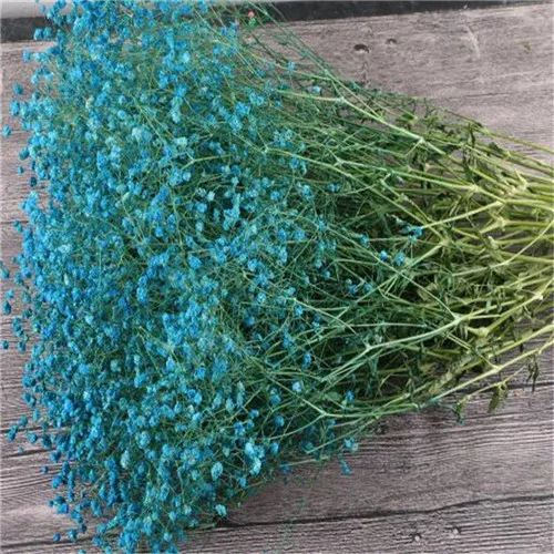 Красочные сушеные цветы Гипсофилы для свадебной вечеринки реквизит фотосессии