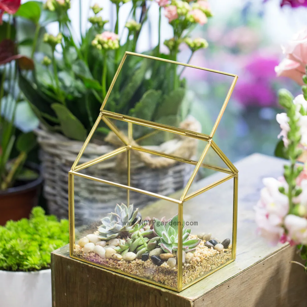 Медный дом в форме папоротника стеклянная коробка цветочные горшки Wardian чехол
