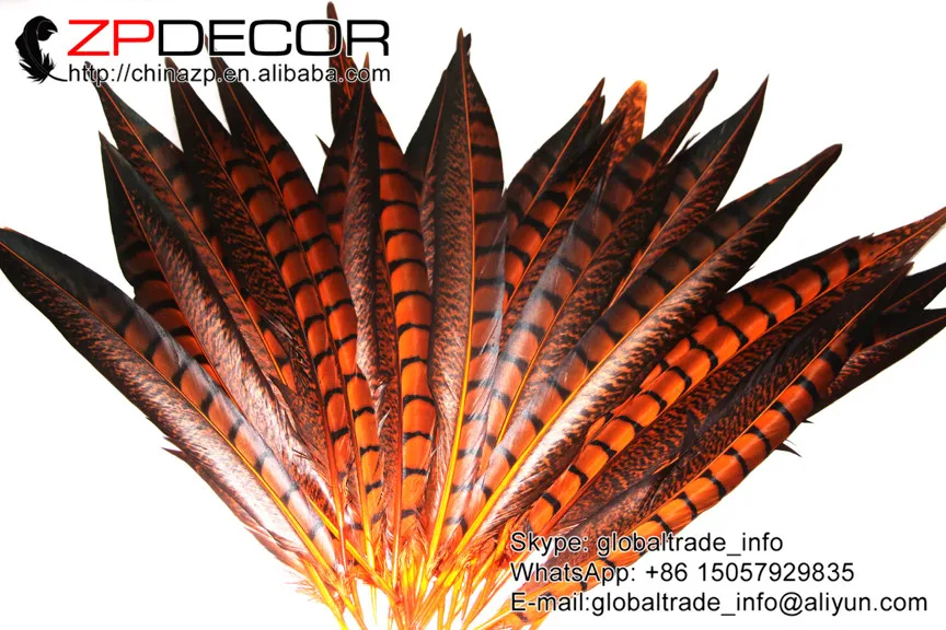 Розничная и оптовая продажа от ZPDECOR 10 12 дюймов (25 30 см) 50 шт./лот оранжевые