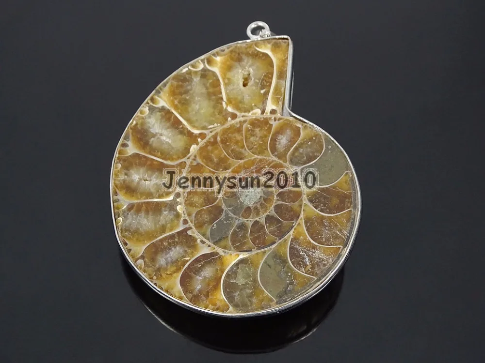 

Natural Ammonite Fossil Snail Gems Stone Silver Plated Pendant Charm Beads 40mm Necklace Earrings Jewelry 10Pcs/Pack