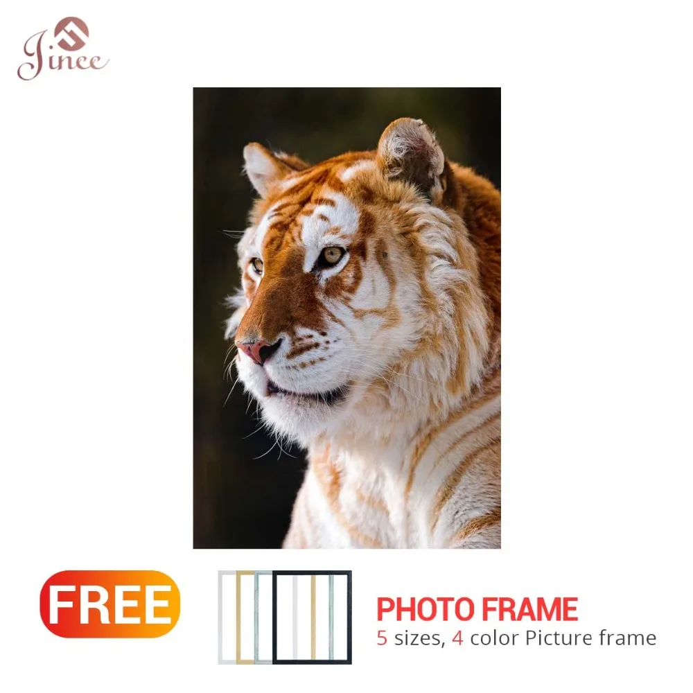 Алмазная 5D Вышивка с тигром картина сделай сам мозаика полноразмерная 3D-картина