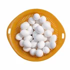 5 шт.лот товары для птиц голубь накладные яйца заполненное пластиковое твердое искусственное яйцо для люка товары для разведения C42