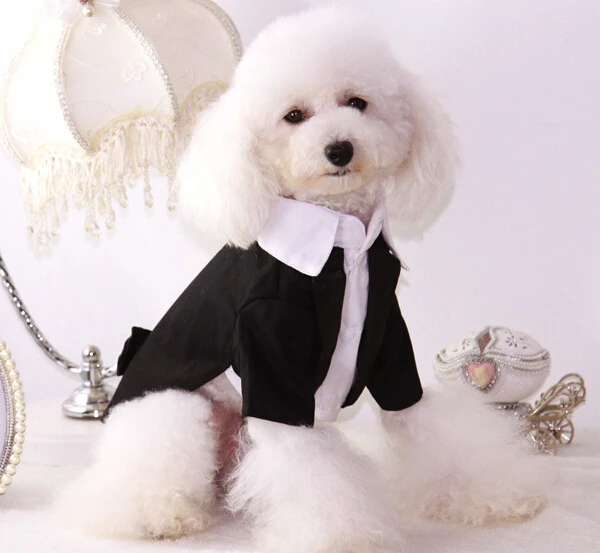 1 шт. крутой Модный свадебный костюм с бантом для собак и кошек смокинг щенков