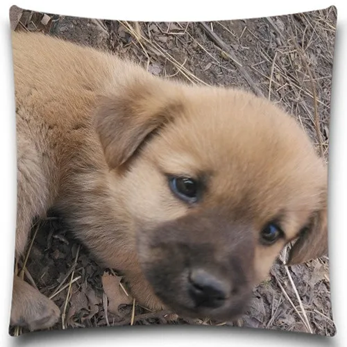 Black Labrador Excellent Quality Soft Cushion Covers Christmas Halloween Cotton Polyester Pillow Cases 5 size 9 style | Дом и сад