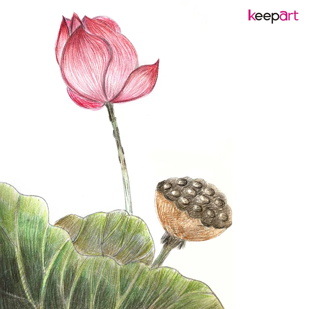 Creative painting impression lotus Print Painting Home Decor Wall Art for Living Room Office Dropship | Дом и сад