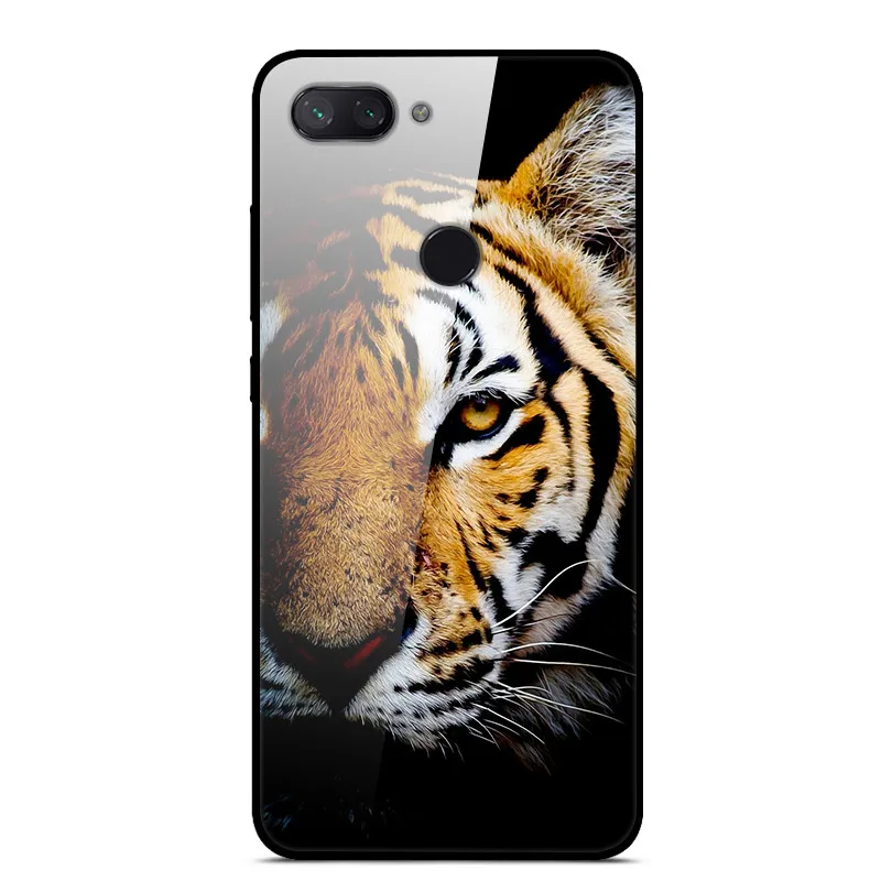 09 Чехол из закаленного стекла для Xiaomi Redmi 6, чехол с изображением планеты космоса, стеклянный чехол на заднюю панель для Xiaomi Redmi 7, 6, A, 7A, 6A, чехол для телефона Redmi6 - Цвет: 09