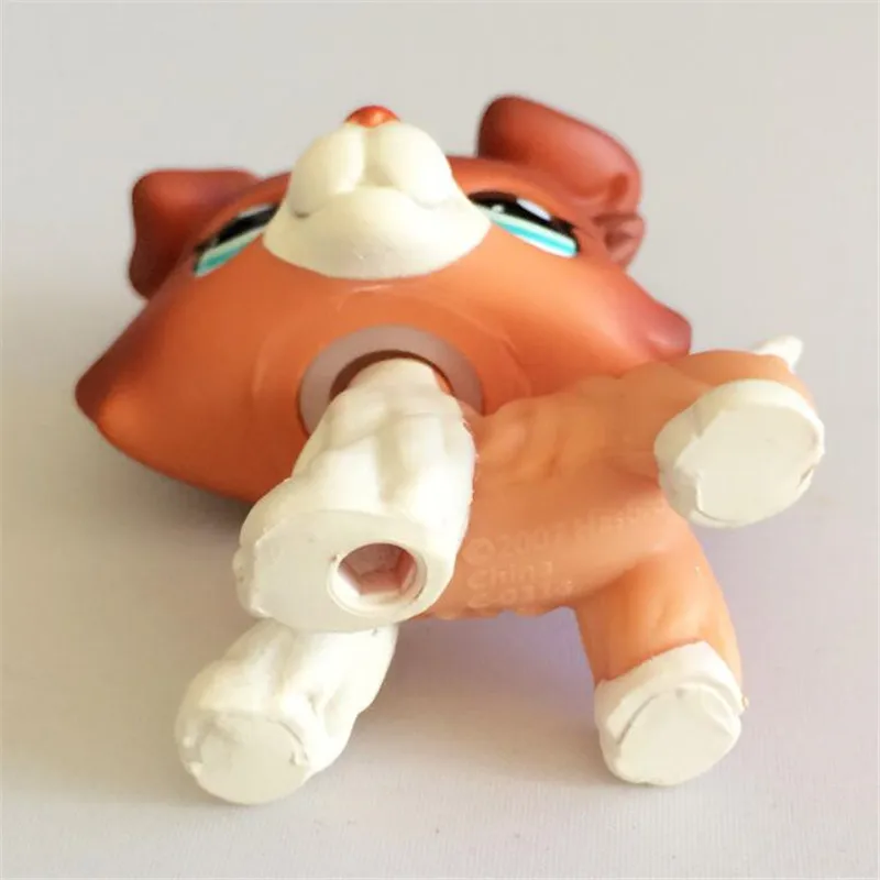 Pet Shop Lps игрушки собачья коллекция настоящие маленькие короткие волосы кокер спаниель колли бачшунд Грейт Дэйн Коллекционные сувениры