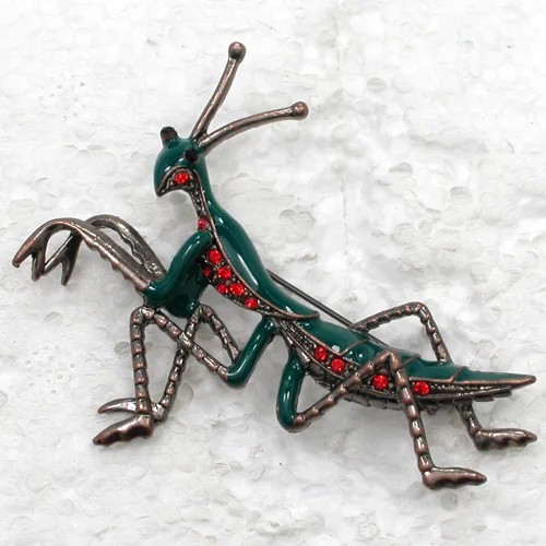 

Antique Copper Mantis Brooch Enamel Red Rhinestone Pin brooches C735 C3