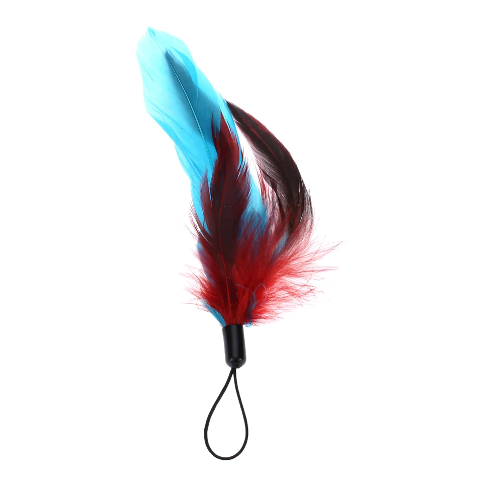 5 шт. нетоксичные натуральные цветные длинные перья для домашнего питомца