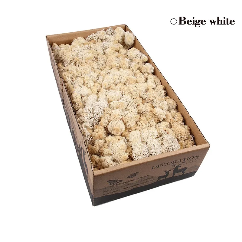 Beige White 500 г, сделай сам, нескончаемый мох, 24 цвета, натуральный настоящий мох, декоративный цветок для дома, сада, вечерние, свадебные декорации - Цвет: Beige White