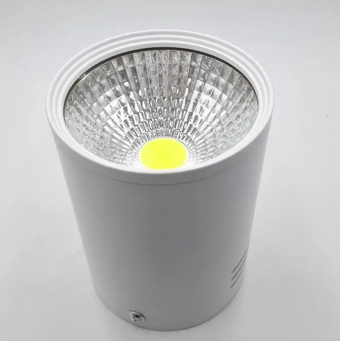 Бесплатная доставка 12 Вт Диммируемые светодиодные точечные светильники