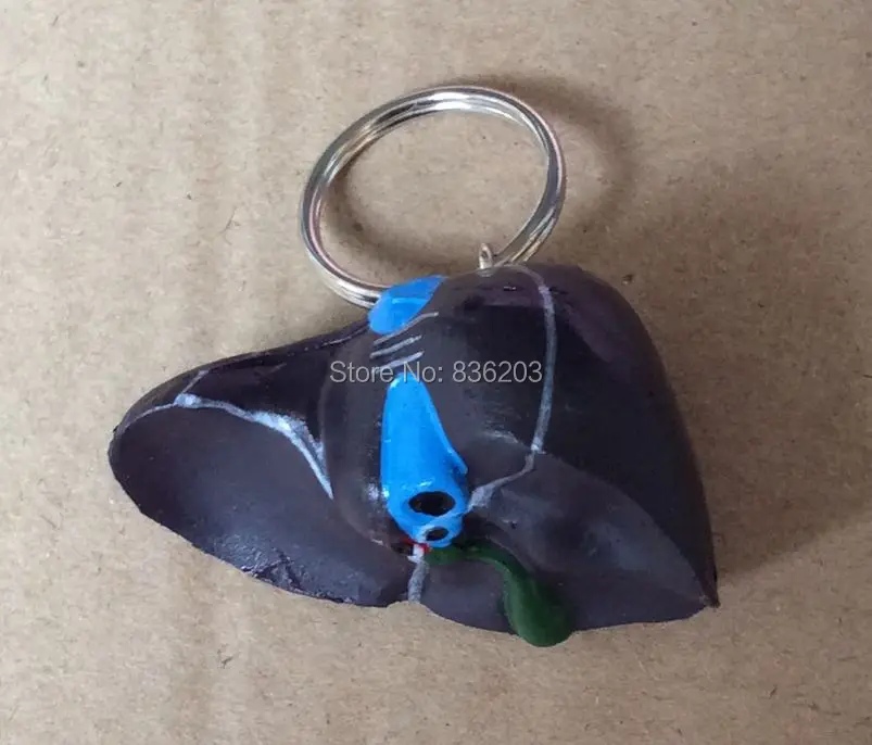 Женская анатомическая мини скульптура для тела|human liver|liver modelfemale anatomy |