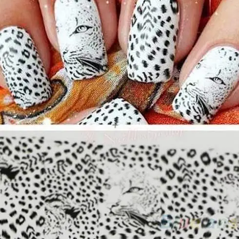 5 Types/set Wild Style Water transfer Nail Full Decal Art Decoration Sticker Tips 1NHU 7GQR | Красота и здоровье