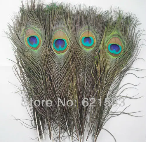 

Wholesale! 500pcs/lot Natural Peacock Tail Feathers About 10-12 inches 25-30CM FREESHIPPING