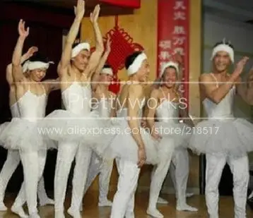 Балетное платье для мужчин балетная пачка гимнастическое трико лебедь