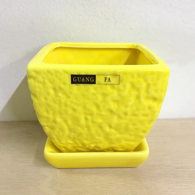 Керамические горшки с квадратным цветным мясистым горшечным подносом узкий