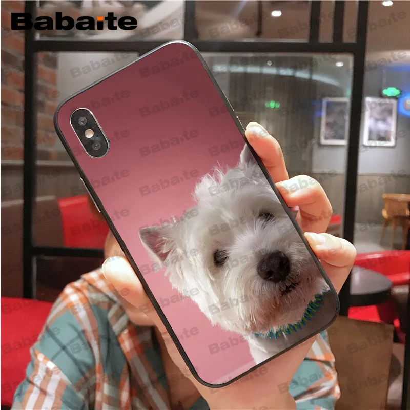 Цветной милый чехол для iphone 11pro max Westie dog 8 7 6 6S Plus X XS MAX 5 5S SE XR Cover Babaite | Мобильные