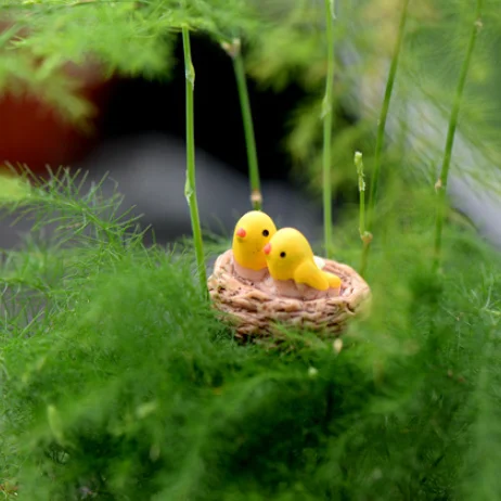 Мини гнездо с птицами Сказочный Сад миниатюрные гномы моховые террариумы