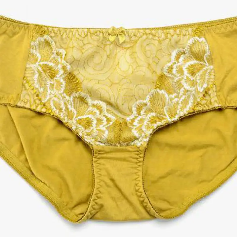 Iricheraf Для женщин Нижнее Бельё для девочек Трусики 2017 г. пикантные Вышивка Low-Rise
