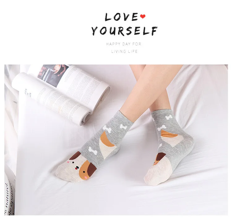 SP& CITY/5 пар, женские короткие носки с милыми животными, хлопковые короткие Носки с рисунком, повседневные женские носки с принтом для студентов